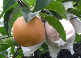 image01