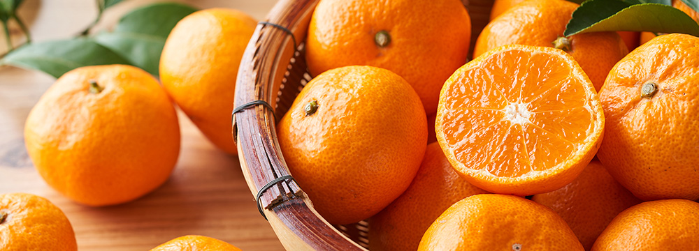 トリイソース / みかんポン酢