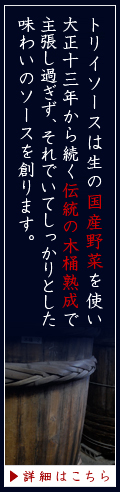 トリイソースについて