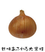 たまねぎイメージ