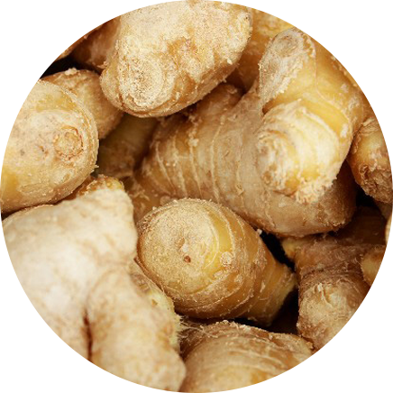 トリイソース ジンジャーシロップ