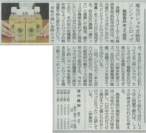 中日新聞ジンジャー.jpg